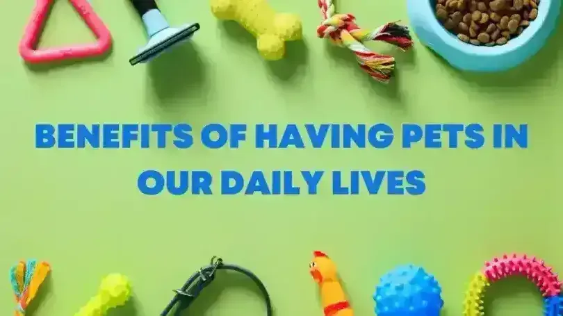 Benefits of Having Pets in Our Daily Lives