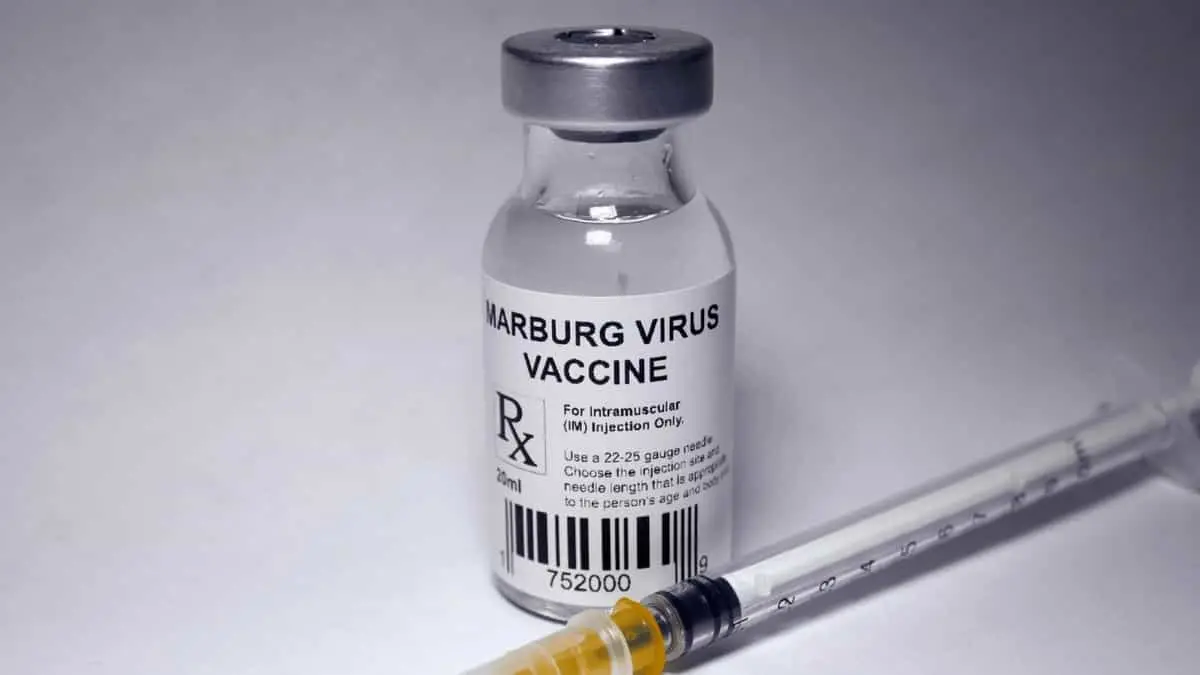 Marburg Virus